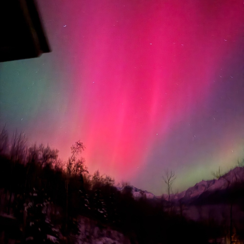 Meet your Posher, Thomas